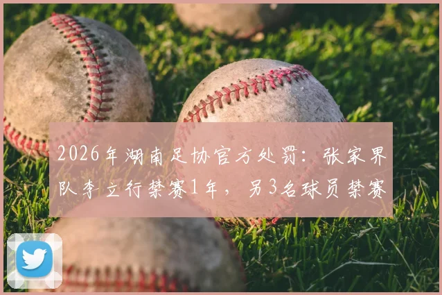 2026年湖南足协官方处罚：张家界队李立行禁赛1年，另3名球员禁赛半年，附地方足球纪律管理解读
